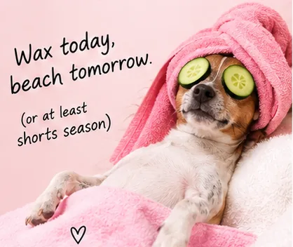 A small dog in a pink towel turban with cucumber slices on its eyes, captioned: wax today, beach tomorrow